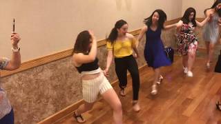 Lebanese Dabke Ladies [upl. by Naneek]