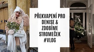 PŘEKVAPENÍ PRO DENISE amp ZDOBÍME STROMEČEK VLOGMAS [upl. by Anairuy]