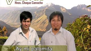 Valles Peru  Ay mi palomita Audio Oficial [upl. by Candide]