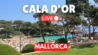 🔴LIVE in CALA DOR Mallorca Majorca  5 May 2024 [upl. by Malynda]