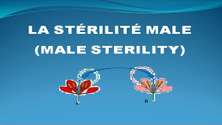 La Stérilité mâle Chez les plantes Male Sterility in plant [upl. by Artied621]