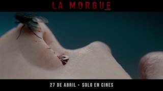 La Morgue  En Cines  Abril 27  Perú [upl. by Ahsercal41]