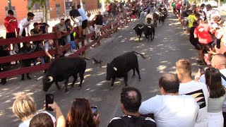 Primer Encierro de las Ferias de Alcalá de Henares 2023 [upl. by Atilemrac426]