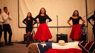 Mix Bailes típicos de Chile  Renacer Volver a Vivir Sept 2015 [upl. by Japheth]