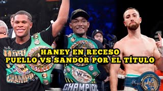 WBC aceptó petición de Devin Haney y ordena Alberto Puello vs Sandor Martín [upl. by Jorin]