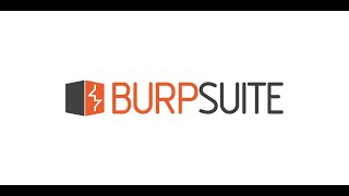 Burp Suite The Basics TryHackMe  Burp suite Basics part 2 [upl. by Dor967]