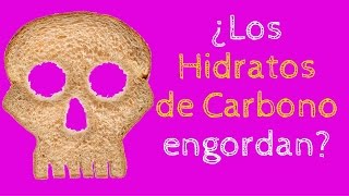 ¿Los hidratos de carbono engordan [upl. by Bocoj]