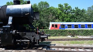 Die Aspangbahn  Der Traum von der kukMagistrale  SWR EisenbahnRomantik [upl. by Euseibbob471]