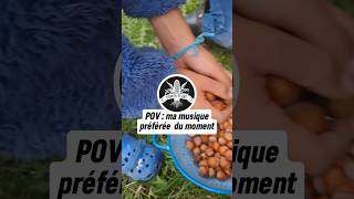 Que font ces petits écureuils  🐿🥜🌲 [upl. by Gigi]