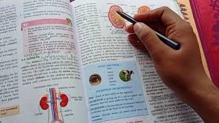 The Excretory system ICSE class 10th Biology explained only for revision [upl. by Solraced]