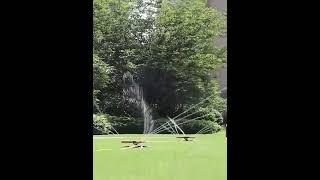 Garden Automatic Sprinkler System [upl. by Gilead93]