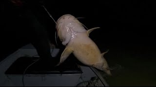 Ríos Colombianos y peces gigantes un día y una noche de pesca en el llano [upl. by Alleda]