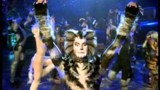 The Invitation to the Jellicle Ball  HD from Cats the Musical the film [upl. by Atinihs758]