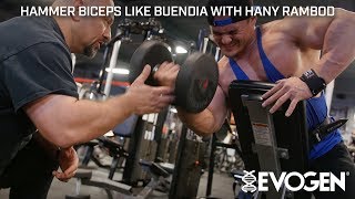 Hammer FST7 Biceps Like Buendia with Coach Hany Rambod at Bevs [upl. by Euqinemod737]