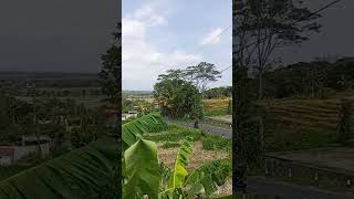 Beautiful Scane beautiful nature scane farm [upl. by Welsh]