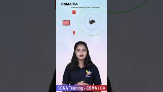 What is CSMACA csmaca networking ccna ccnatraininginchennai [upl. by Lemmie]