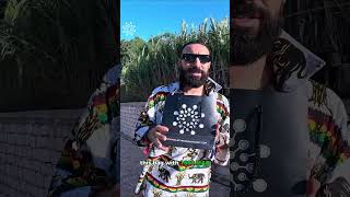 MOGA Festival 2024 Vlog Essaouira Morocco 🇲🇦 shorts [upl. by Adeline]