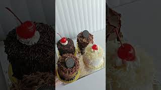 Mini cake mix 4 rasaaa cake cakedecorating minicakes cakelover [upl. by Ahsinak]