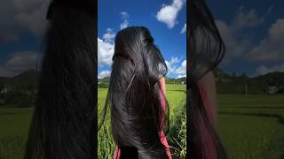 Shampoo hack for long hair ✅haircare ✅haircare longhairgrowth haircaretips ytshorts shortfeed [upl. by Adin210]