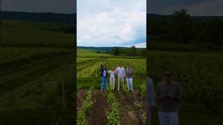 Cruising through the vineyards of Épernay 🥂🍾 [upl. by Ehling]