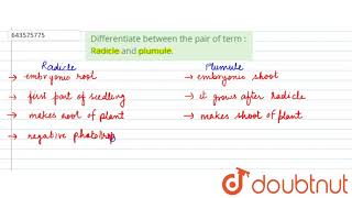 Differentiate between the pair of term Radicle and plumule  6  THE FLOWER  BIOLOGY  ICSE [upl. by Ycnay]