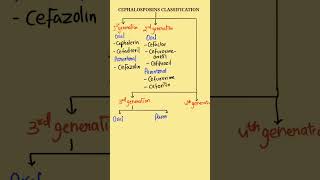 Cephalosporins Classification  Classification of Cephalosporins  Cephalosporins pharmacology [upl. by Halle221]