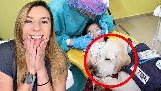 This Adorable Dog is Changing Dentist Visits FOREVER  The Good News Girl [upl. by Hashim461]