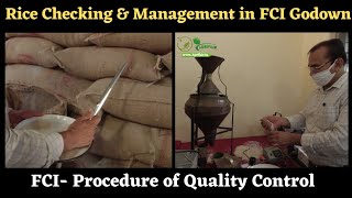 FCIQuality Control Checking in FCI Godown Procedure of Quality Control Food Corporation Of India [upl. by Meir]