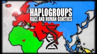 What are Haplogroups Human Genetics Explained [upl. by Labina]