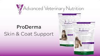 ProDerma  Canine amp Feline Skin amp Coat Support [upl. by Githens128]