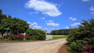 NC Farms and Plantations For Sale [upl. by Airretal600]