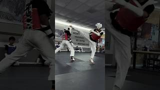 Taekwondo Sparring shorts [upl. by Pillow]