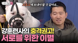 개는훌륭하다 가드독 도고아르헨티노 럭키 좋지 않은 환경에 어려운 결정을 내리는 강훈련사와 보호자😢｜KBS 240219 방송 [upl. by Kciv]