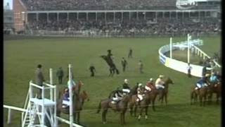 1974 Aintree Grand National Red Rum extended full race coverage [upl. by Jadda]