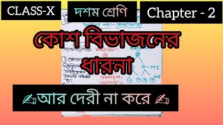 CLASS  10💥 Chapter2📚 concept about✍️cell division 🌻💐in bangla 💯 [upl. by Lisette138]