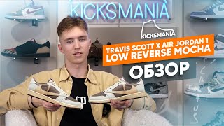 Обзор Travis Scott x Air Jordan 1 Low Reverse Mocha [upl. by Armil144]