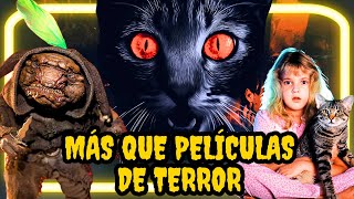 UN GATO ES ESPECTADOR DE LA MISERIA HUMANA— EL OJO DEL GATO [upl. by Addy]