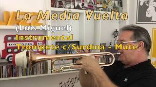 La Media Vuelta Luis Miguel Instrumental Trompete [upl. by Adlev]