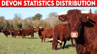 ⭕ Cattle Breeds Devon Statistics And Distribution ✅ Devon Cattle  Bulls [upl. by Sillek]