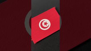 flag of Tunisia 🇹🇳 colors art flagdrawing music drawing [upl. by Renruojos]