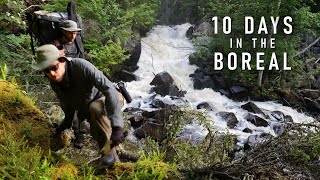 10Day Trip into the Boreal Wilderness  Wabakimi [upl. by Edurtreg]