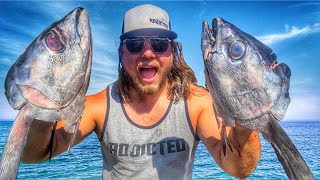 EPIC Albacore Tuna Fishing Catch amp Cook [upl. by Rockwood]