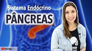 Pâncreas Sistema Endócrino  Anatomia etc [upl. by Christoforo401]