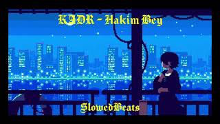 KADR  Hakim Bey slowed  reverb [upl. by Esnofla763]