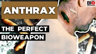 Anthrax Nature’s Perfect Bioweapon [upl. by Ameyn]