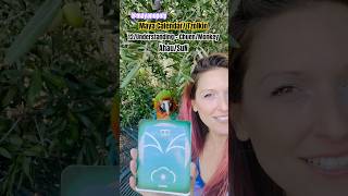 Maya Message Oct 10 2024 maya tzolkin tarotonline horoscopes macaw mayanopoly mayancalendar [upl. by Bohs11]