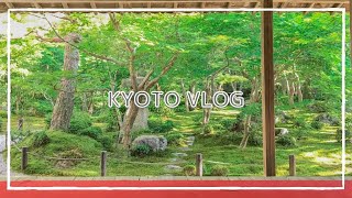 【Vlog】新緑の瑠璃光院と山科散策｜京都1泊2日｜Travel to Kyoto in May｜English subtitles【旅の記録】 [upl. by Freeman]