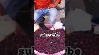 Falsa Fruit streetfood fruit food comedy [upl. by Pauiie438]