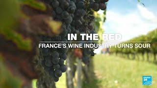 In the red Frances wine industry turns sour • FRANCE 24 English [upl. by Elvah965]