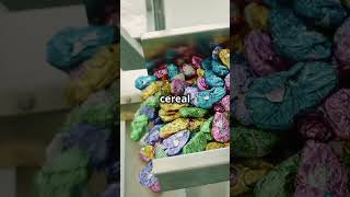 How Cereal is Made Factory Tour youtubeshorts [upl. by Rakel]